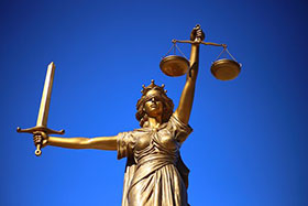 Mnetor4future law